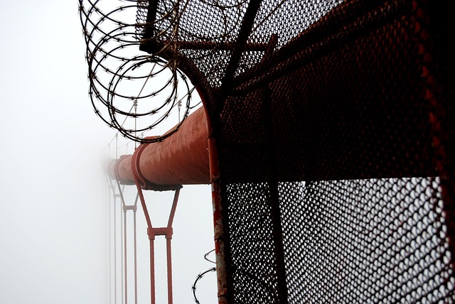 bridge, fog, california, metal, steel, san francisco, architecture, city