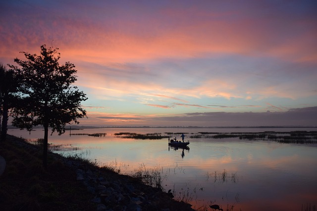 fishing, boat, bass, nature, sunrise, lake, lake toho, kissimmee, florida