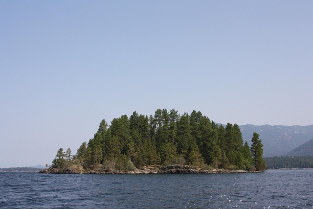 lake, island, nature, idaho, trees